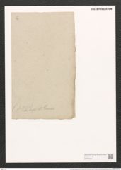 Achnanthes subsesselis [sic] var. constricta Grun. (de-Toni-Nr.: Genus 43, Species 1925) Zeichnungen Sammlung Grunow (NHMW-BOT-W0371511)